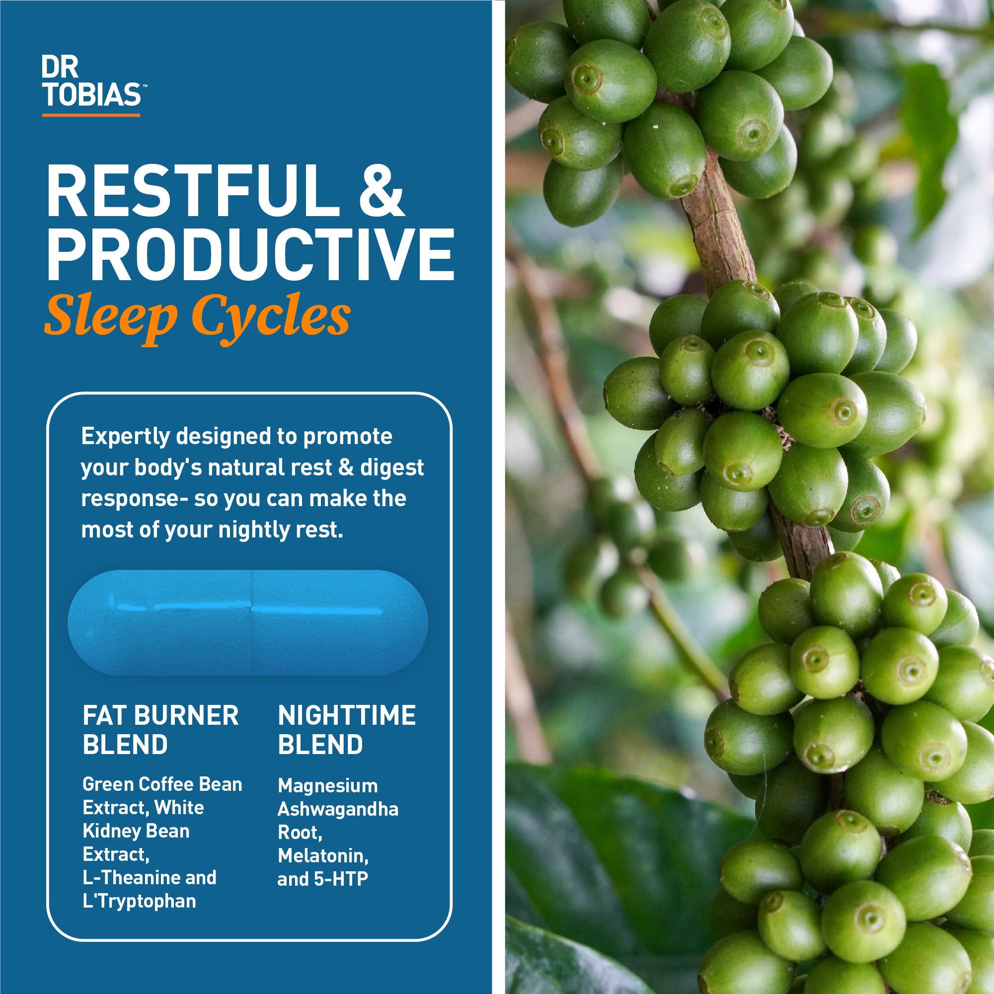 Dr. Tobias Fat Burner Nightly, Night Time Metabolic Support with White Kidney Bean Extract, Ashwagandha Root, Green Coffee Bean Extract & Melatonin