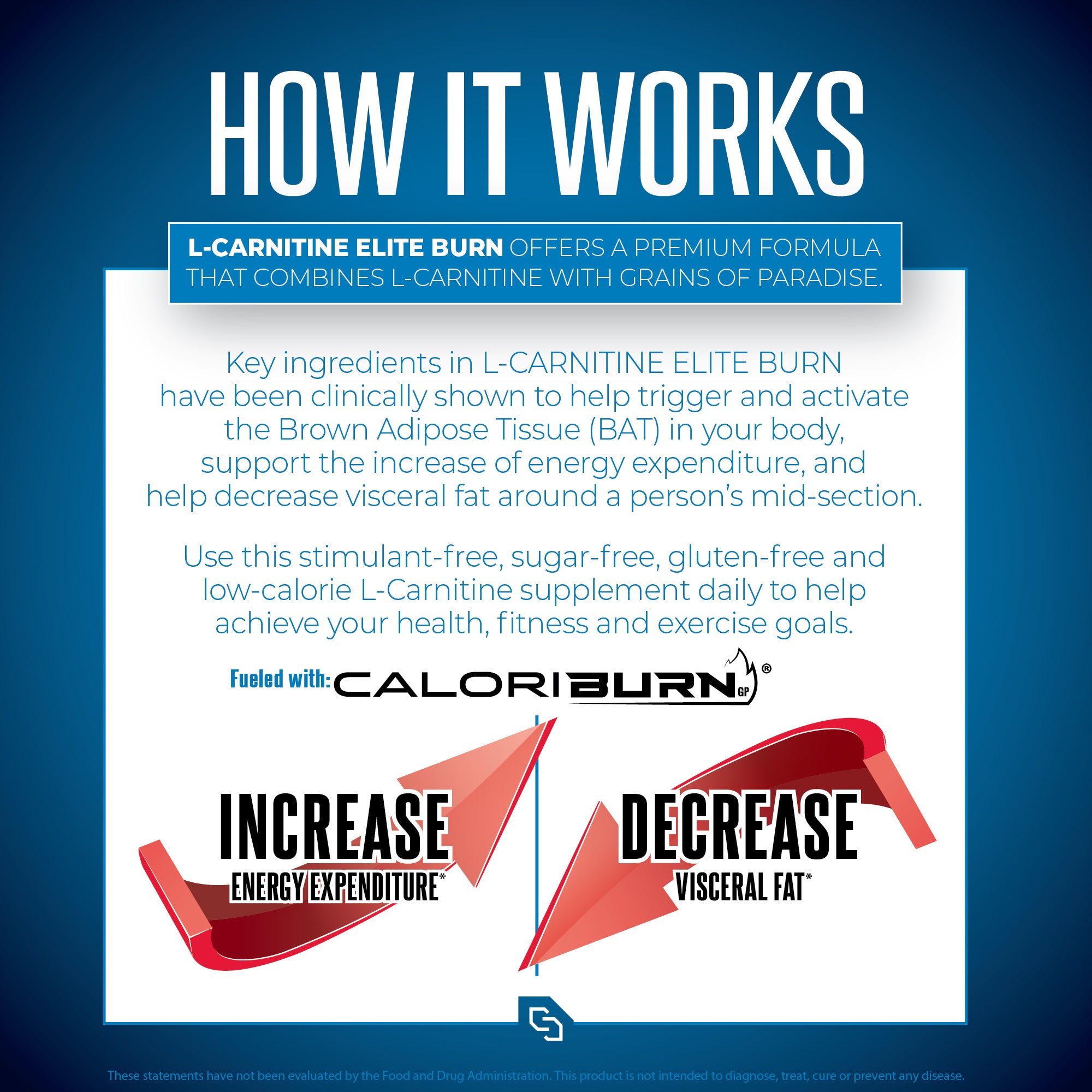 L-Carnitine ELITE BURN™