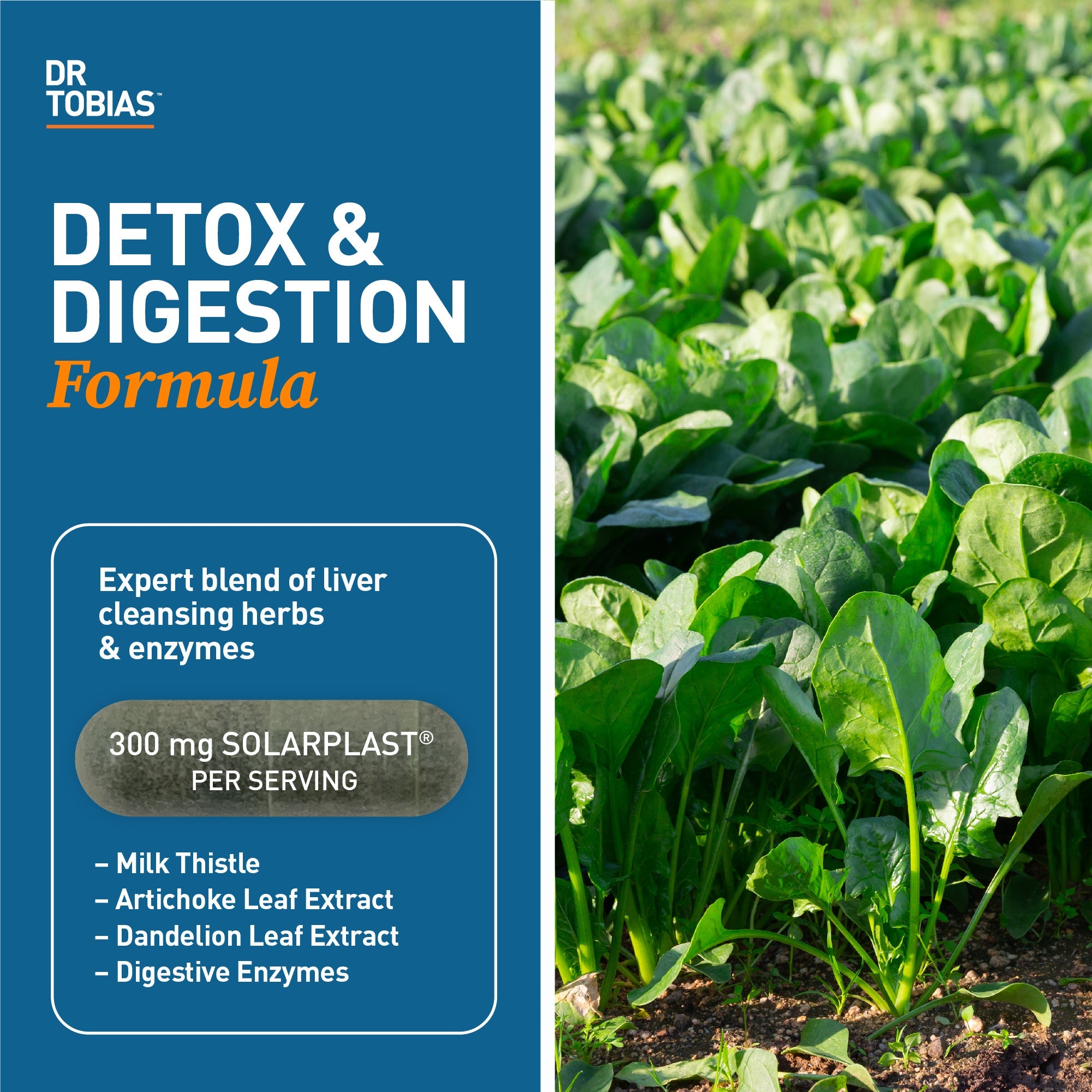 Liver 21 Day Cleanse