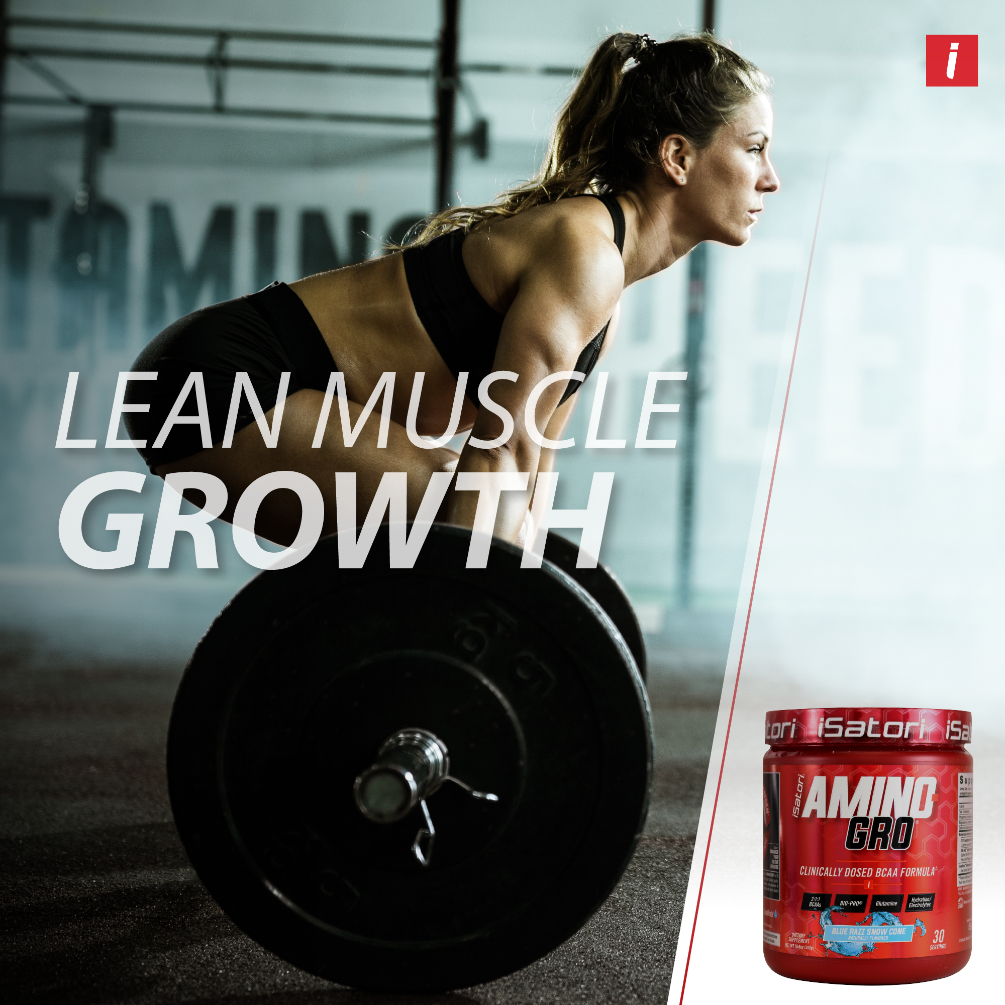 Amino-Gro BCAA Powder