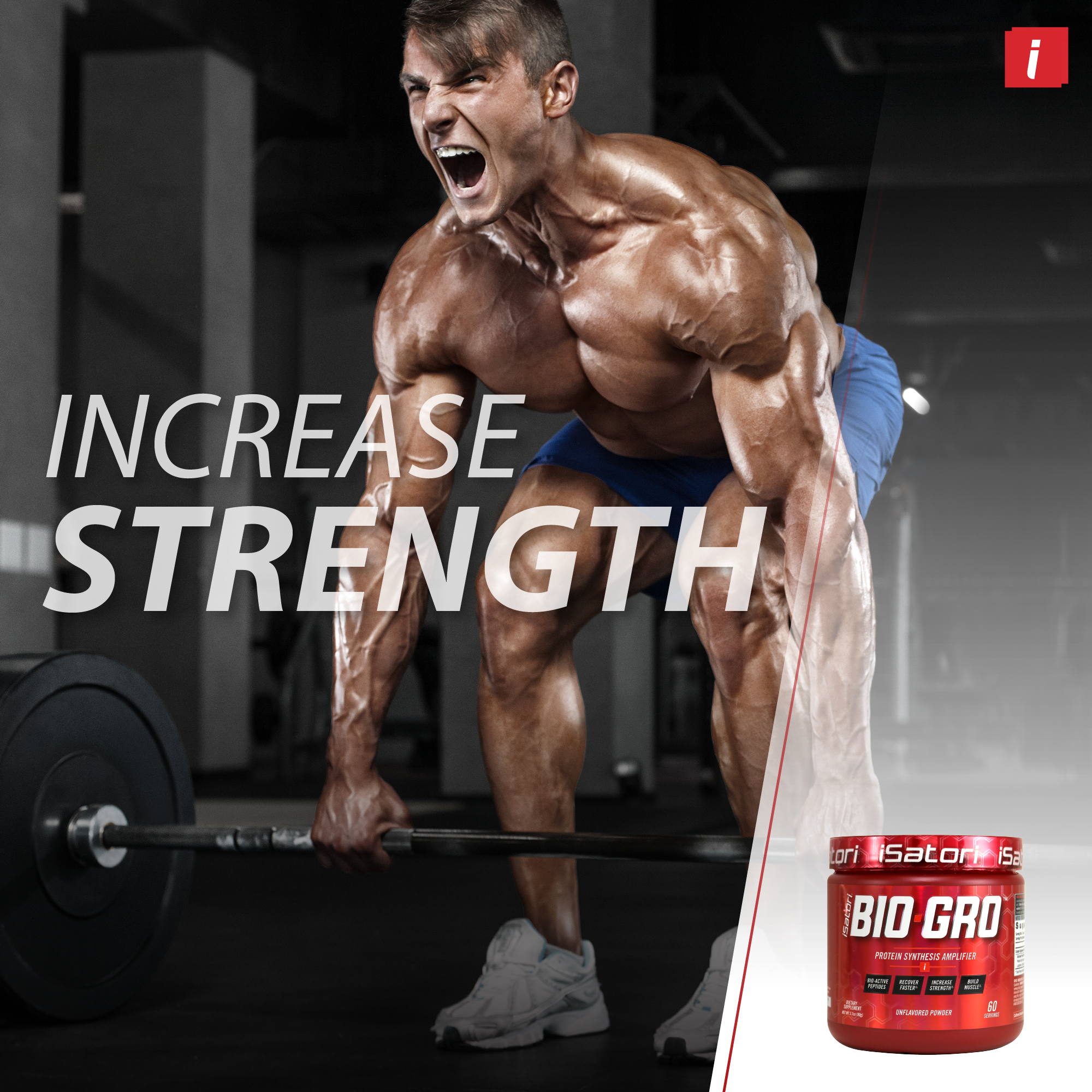 BIO-GRO™ Protein Synthesis Amplifier (Flavored)