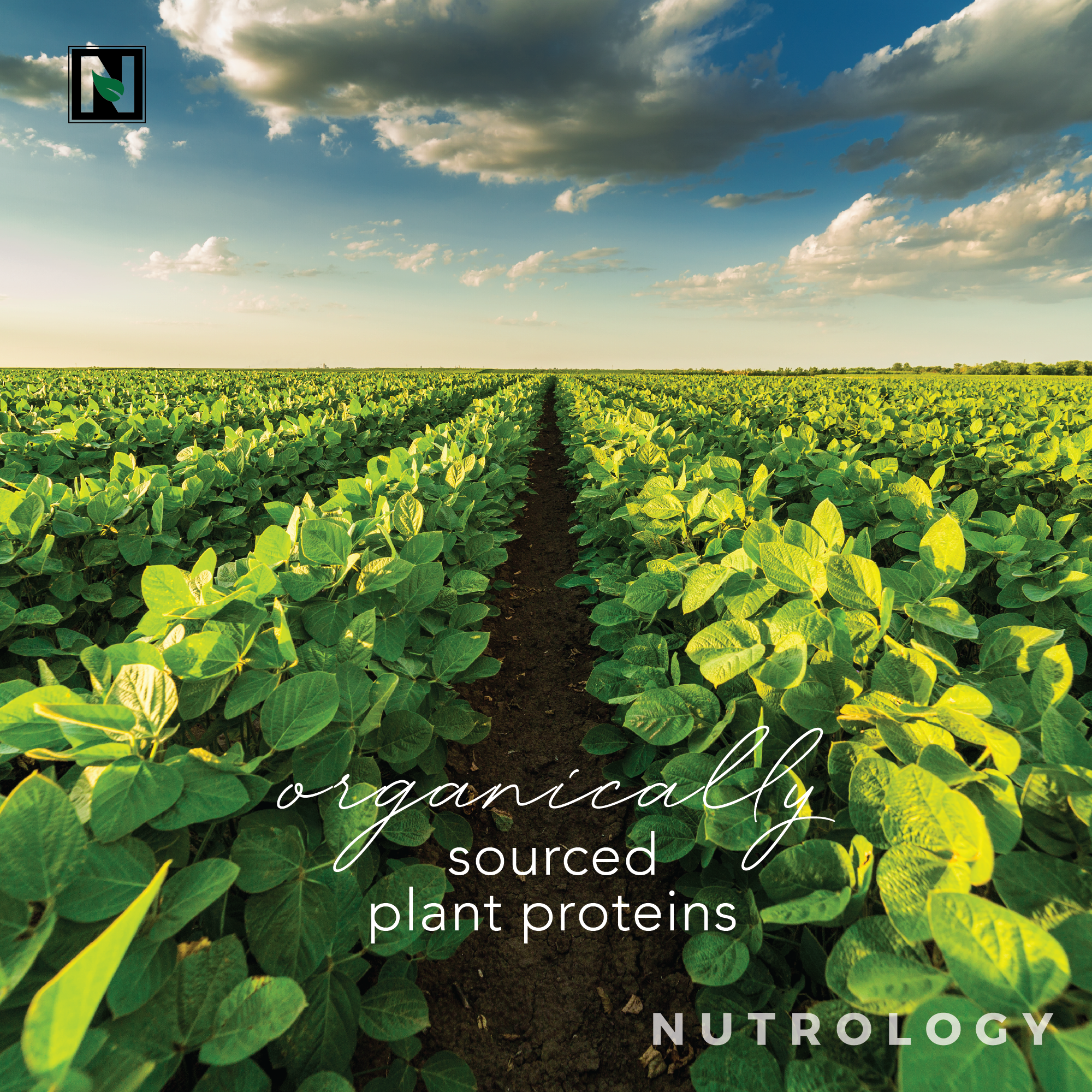 Tripact Protein Vegan