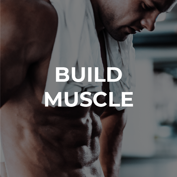 Will insanity build online muscle