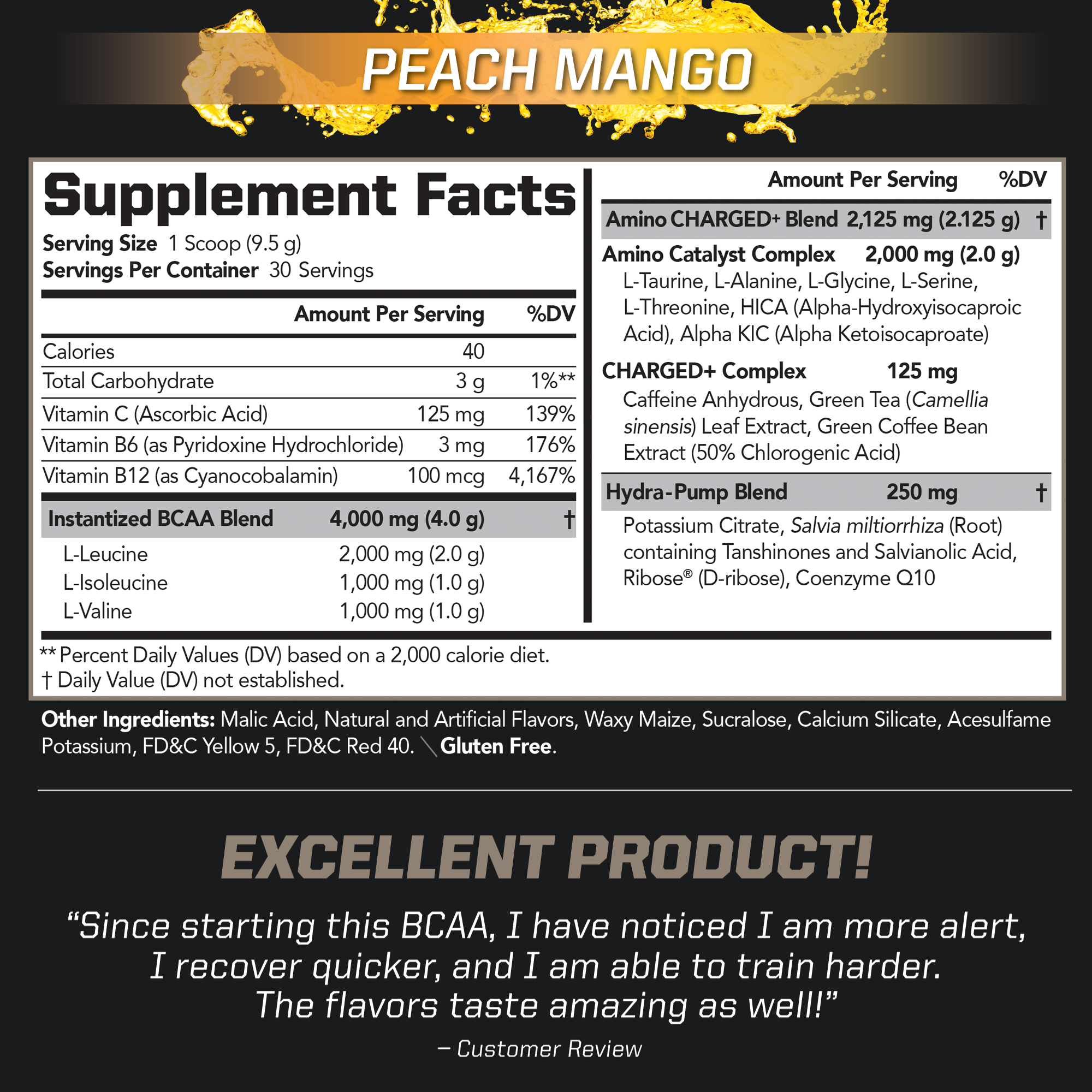 BCAA Charged Delicious Amino Acid Drink Mix