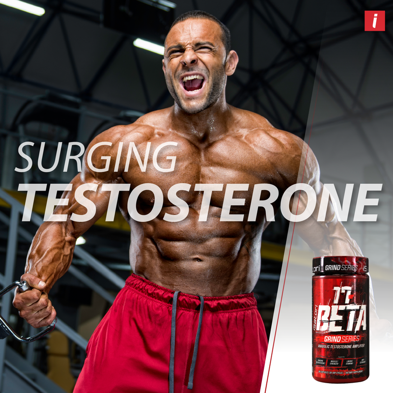 17-BETA™ GRIND SERIES Testosterone Amplifier With DHEA And Anti-Estrogen Complex